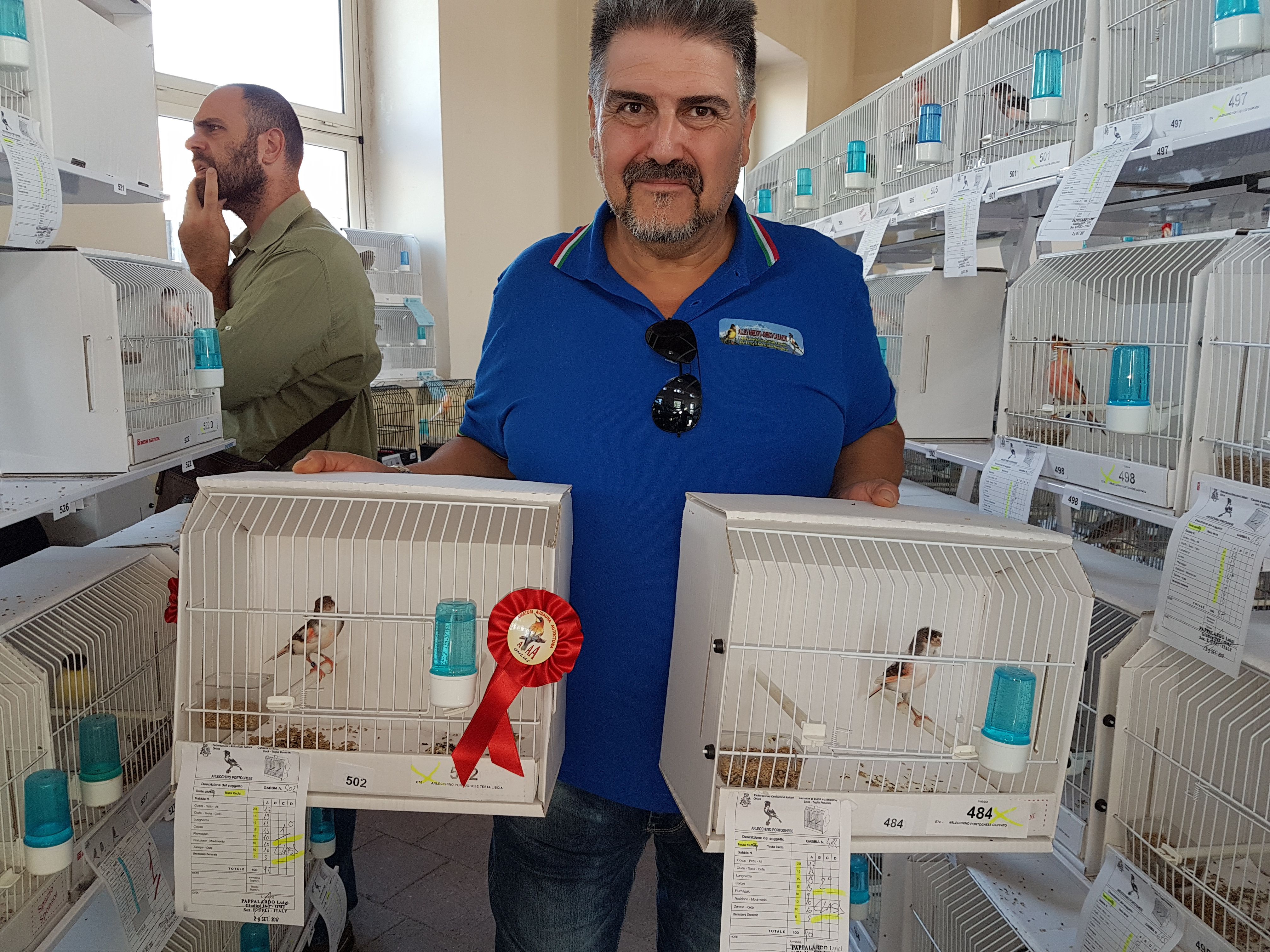 2017 -  il 1° e il 2° classificato alla XXIX mostra ornitologica di Paternò (CT)