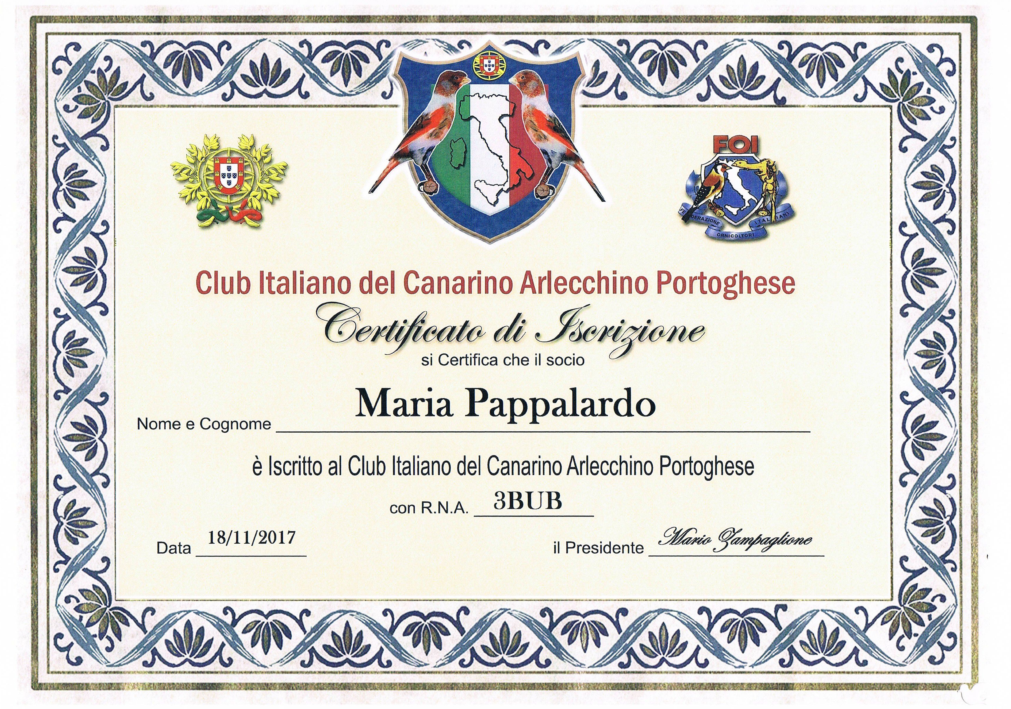Socio Club Italiano Canarino Arlecchino Portoghese