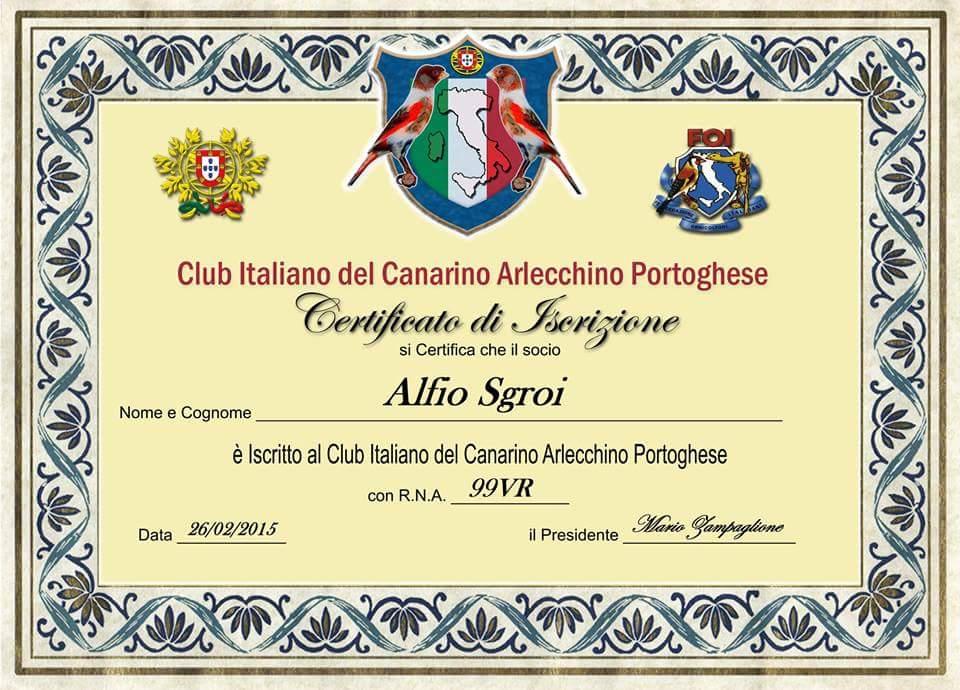 SOCIO CLUB ITALIANO CANARINO ARLECCHINO PORTOGHESE