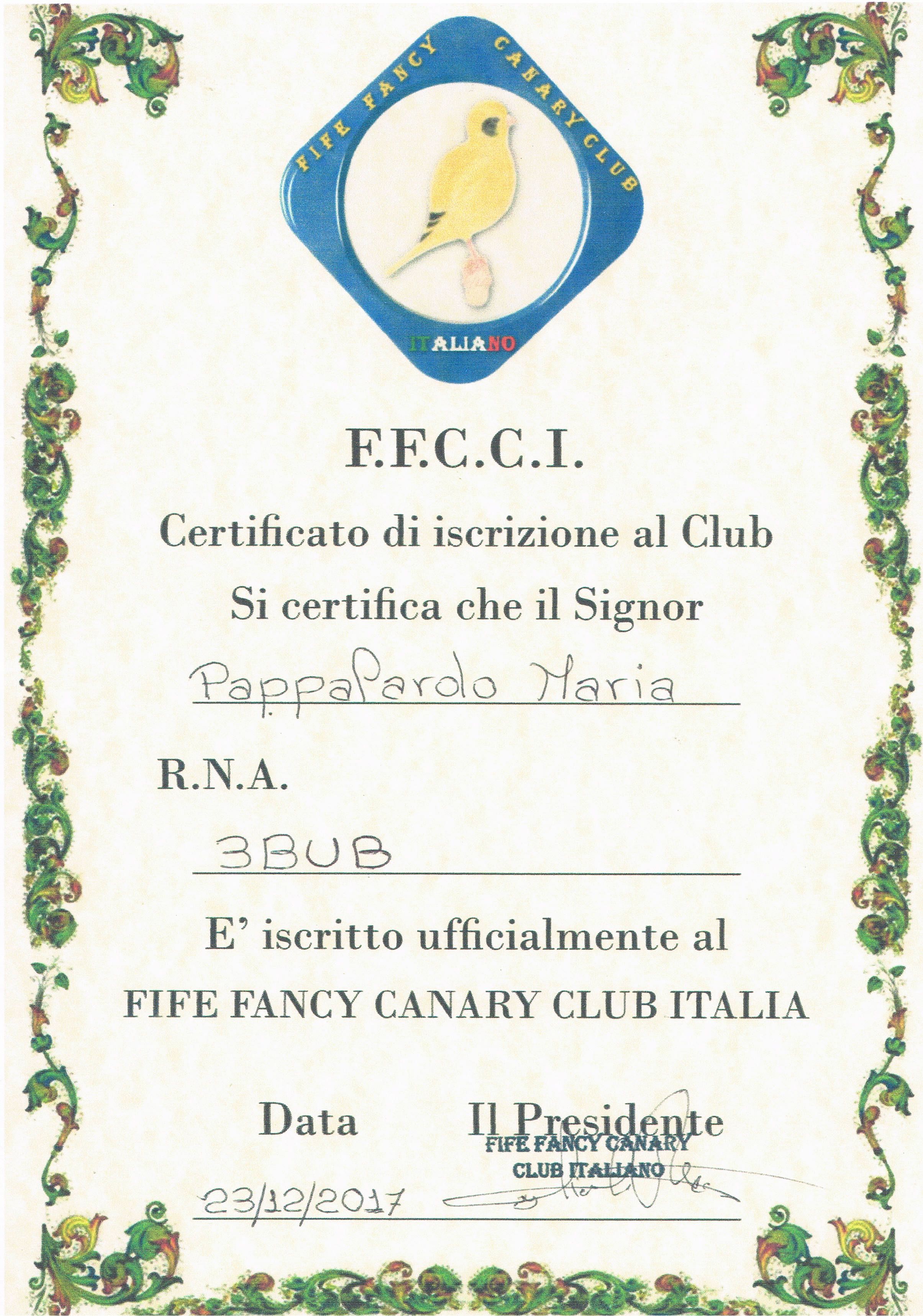 Socio Faife Fancy Canary Club Italiano 